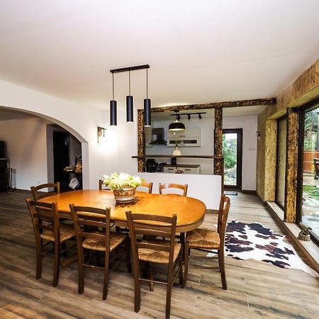 Cabana Valea Rea, Boga Boga  Экстерьер фото