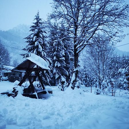 Cabana Valea Rea, Boga Boga  Экстерьер фото