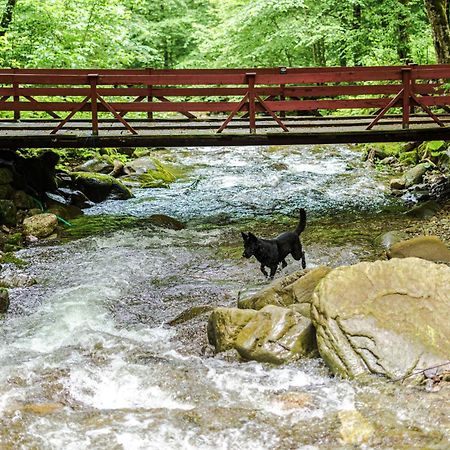Cabana Valea Rea, Boga Boga  Экстерьер фото