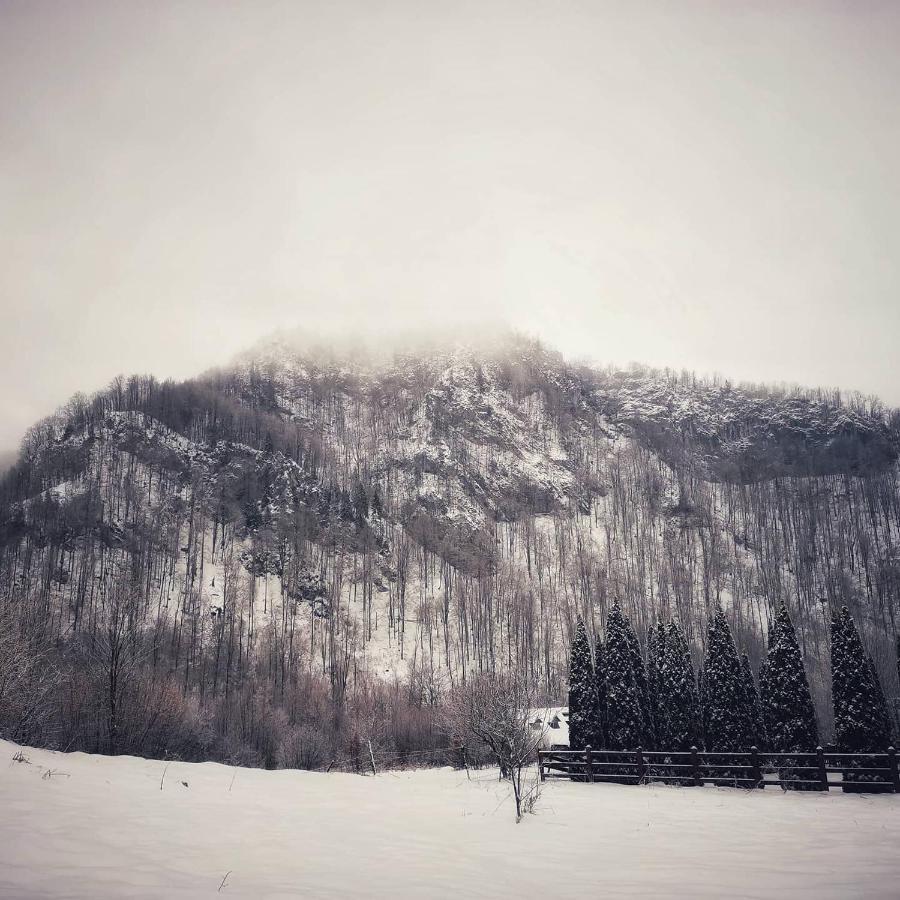 Cabana Valea Rea, Boga Boga  Экстерьер фото
