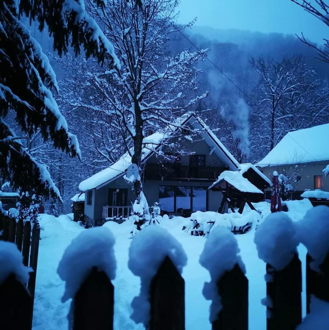 Cabana Valea Rea, Boga Boga  Экстерьер фото