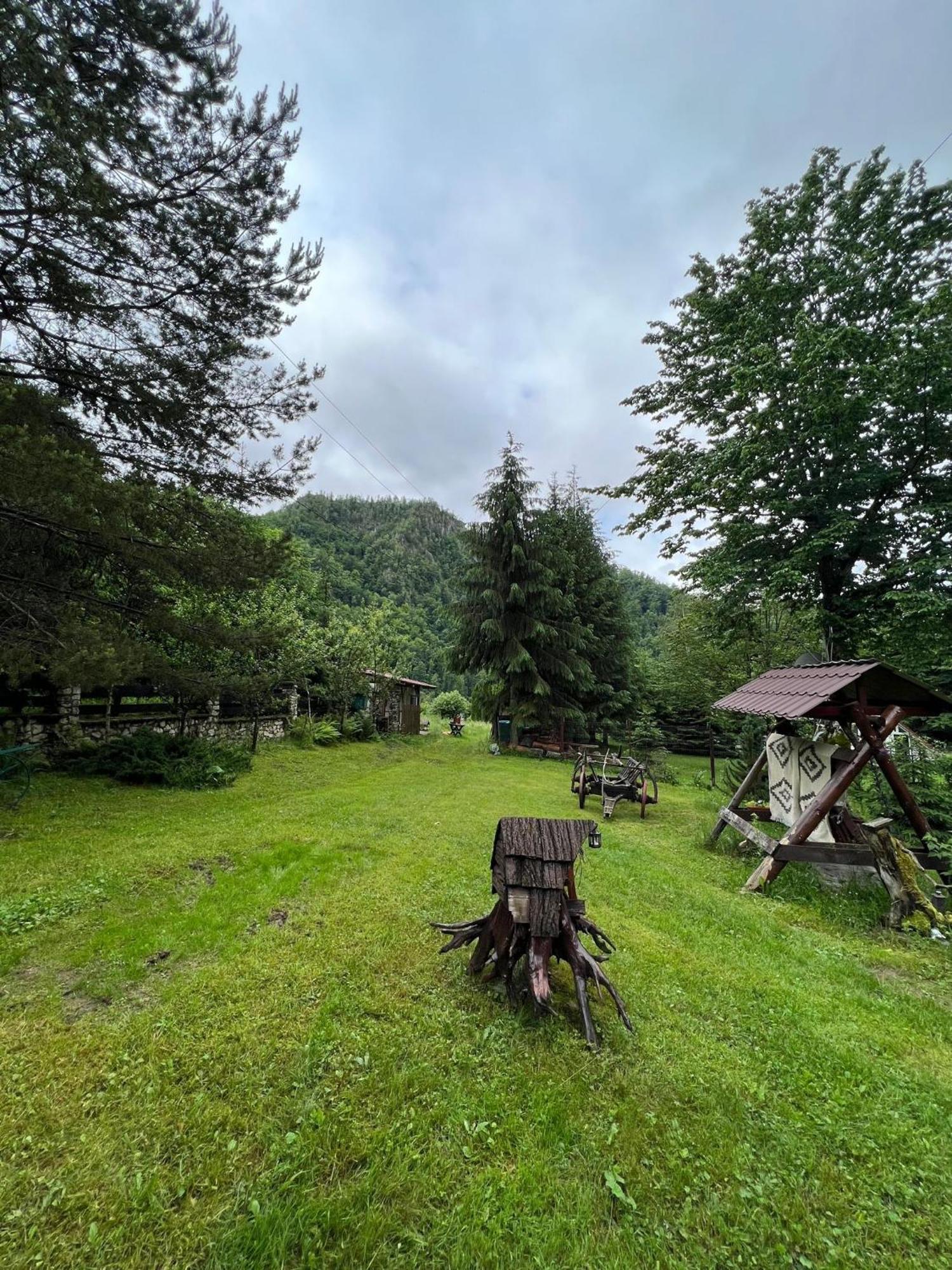 Cabana Valea Rea, Boga Boga  Экстерьер фото